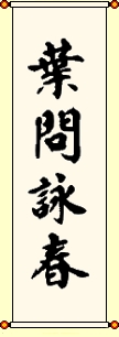 Ip Man Wing Chun